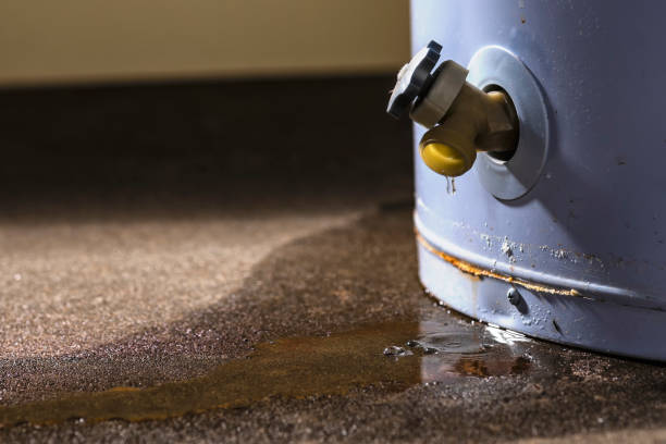 Best Commercial water damage restoration  in Hollywood, SC