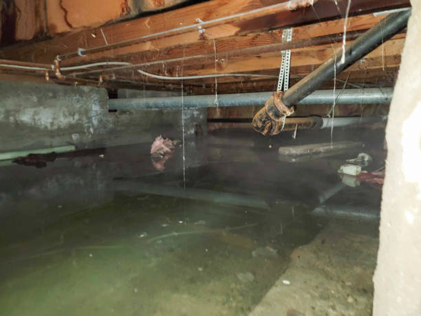 24/7 water damage repair in Hollywood, SC