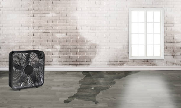 Best Water damage restoration services  in Hollywood, SC