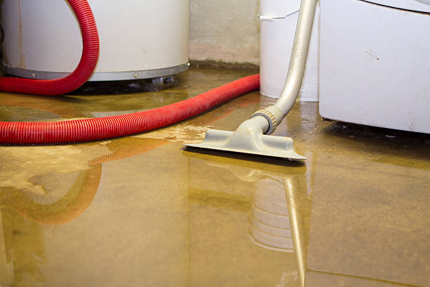 Best Water damage cleanup near me  in Hollywood, SC