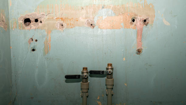 Best Commercial water damage restoration  in Hollywood, SC