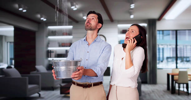 Best Sewage cleanup and water damage restoration  in Hollywood, SC