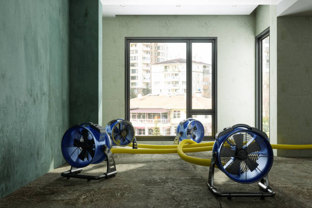 Best Carpet water damage restoration  in Hollywood, SC