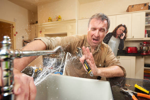 Best Professional water damage repair  in Hollywood, SC